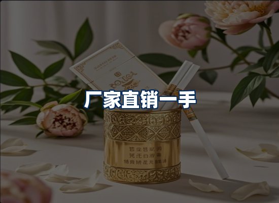专业团队办公环境